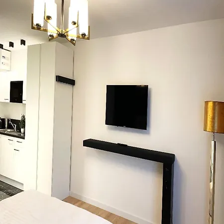 207 Salinenparc Design Budget