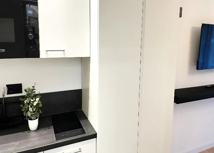 207 Salinenparc Design Budget 바트베스테른코텐
